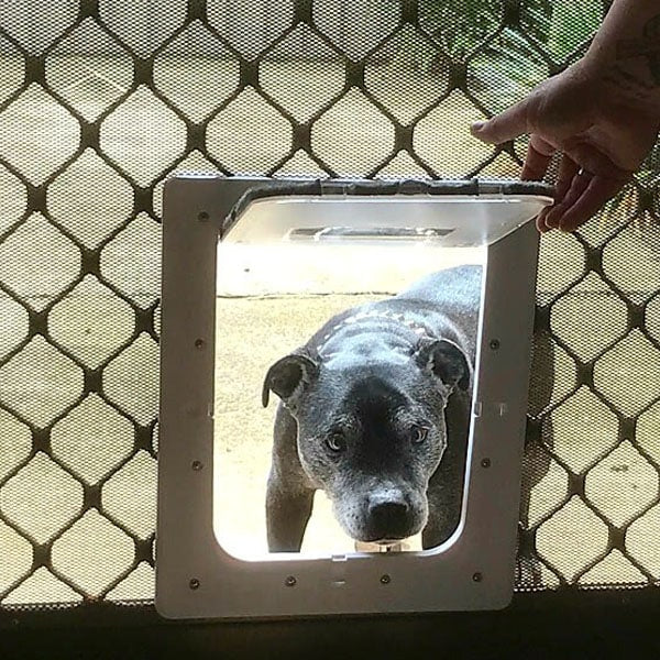 Aussie Pet Doors APD Small Rectangle Cat & Dog Door For Glass, Screen and Timber Door Installation - White