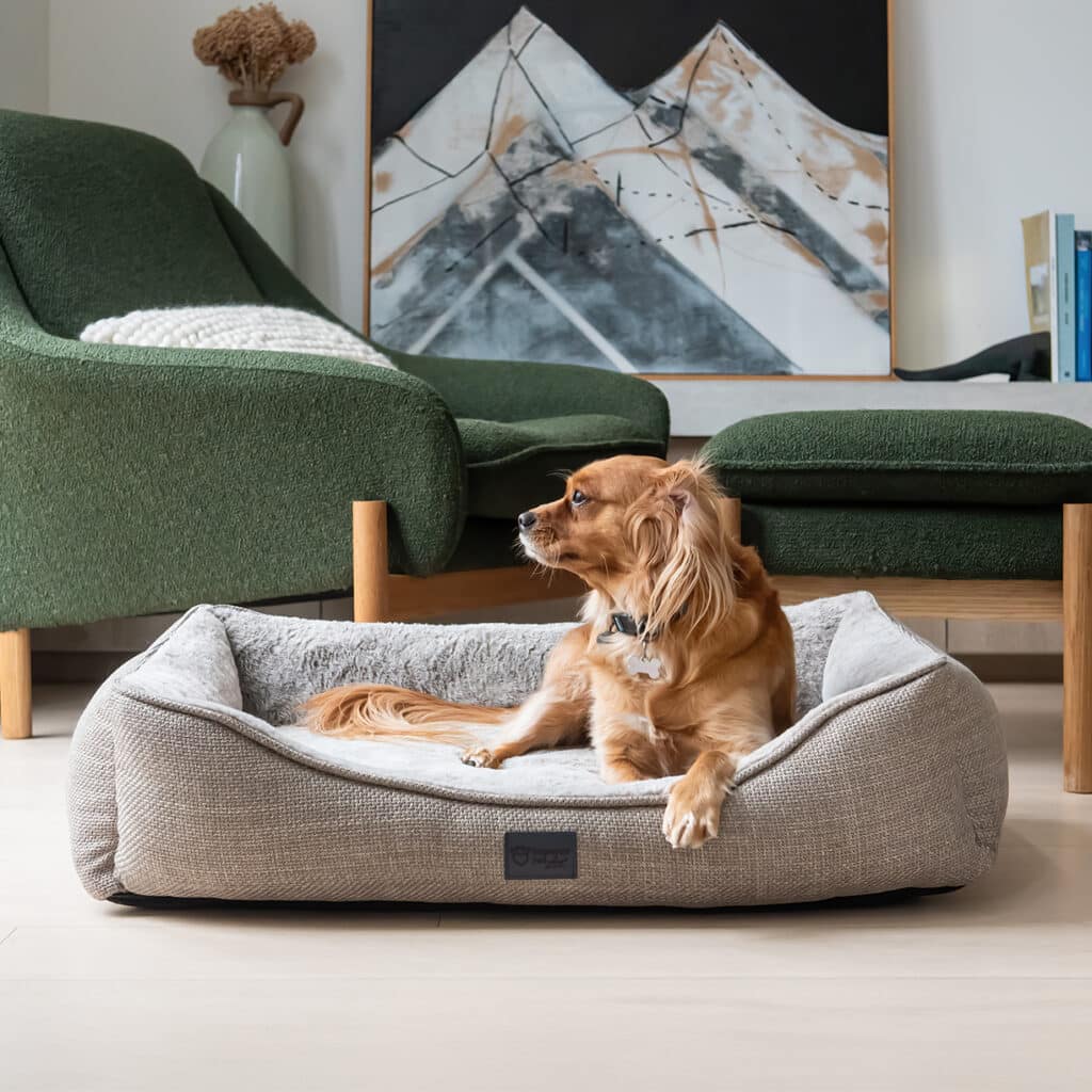 Superior Pet Goods Ortho Dog Haven Puppacino Dog Bed