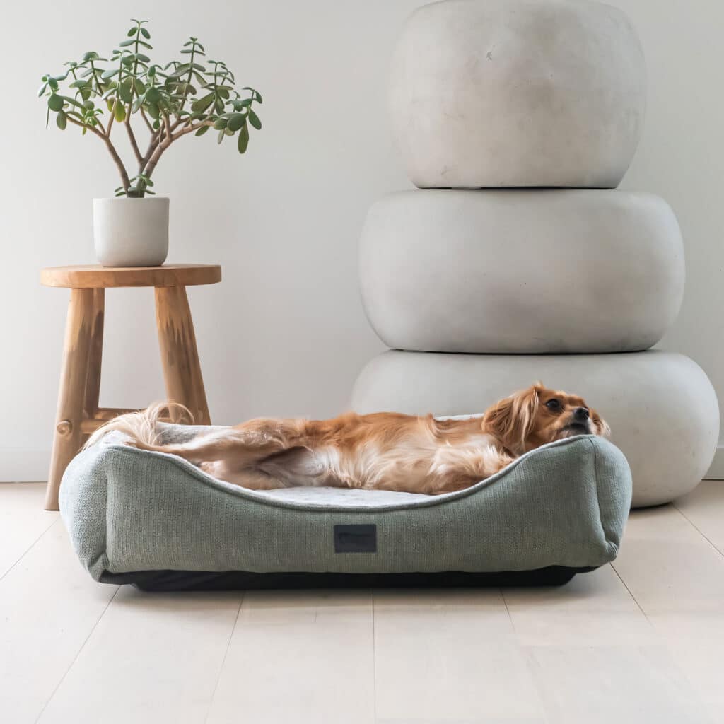 Superior Pet Goods Ortho Dog Haven Sage Dog Bed