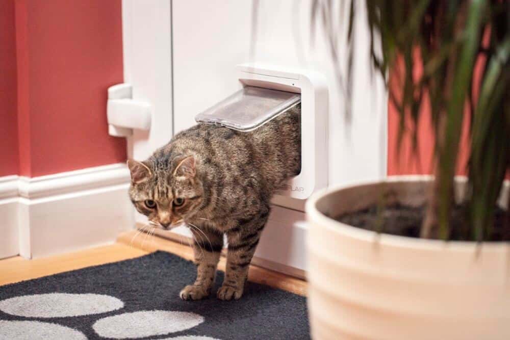 SureFlap Microchip Cat Door & Toy Dog Door