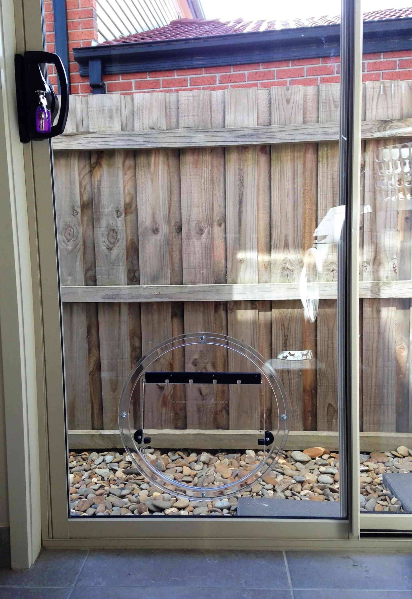 Transcat Small To Medium Dog Door - Clear