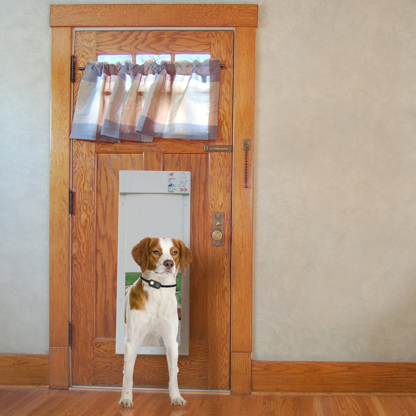 High Tech Automated Pet Door - LARGE Non-WiFi
