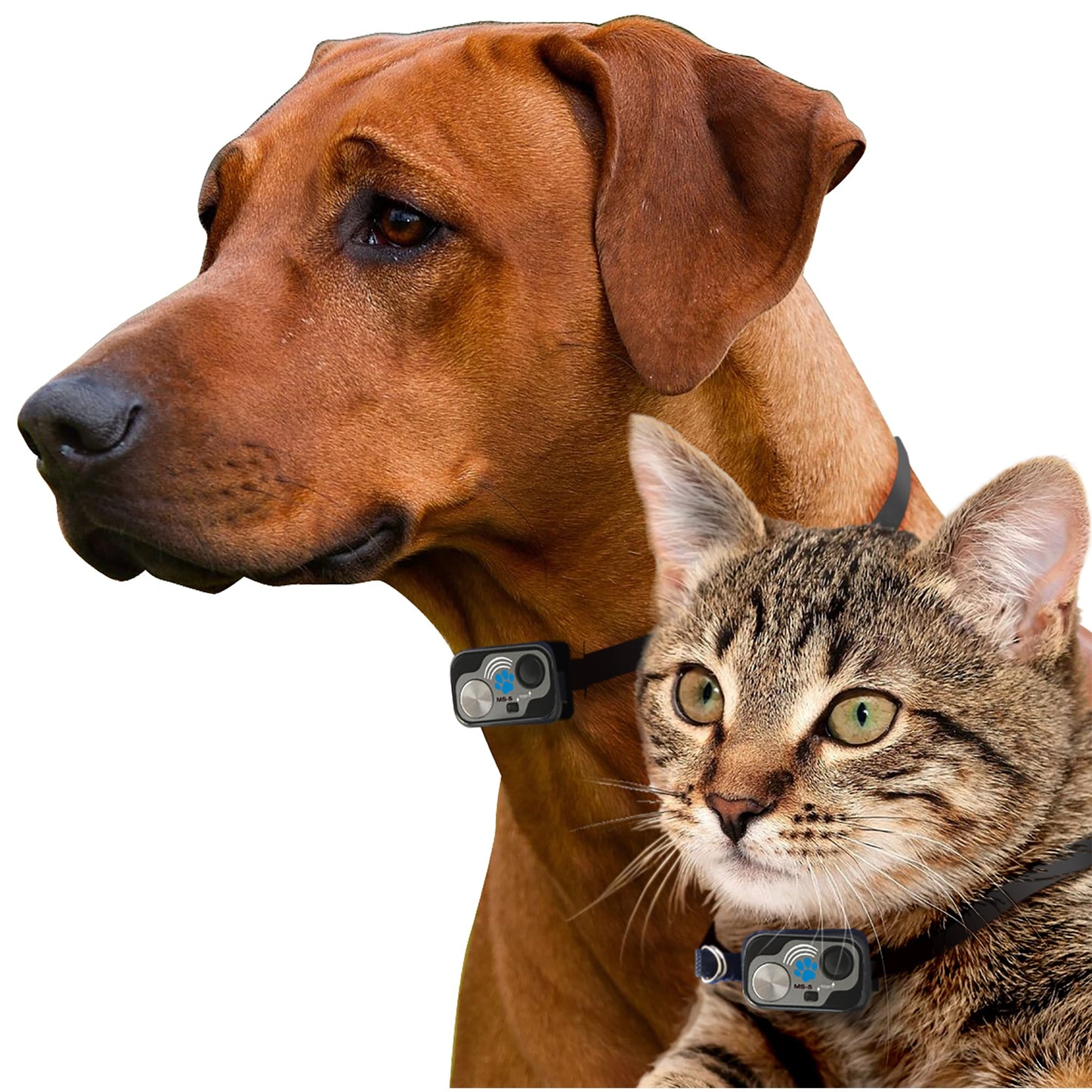 High Tech Automated Pet Door – LARGE WiFi Control