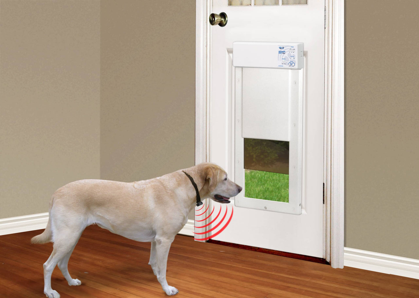 High Tech Automated Pet Door – LARGE WiFi Control