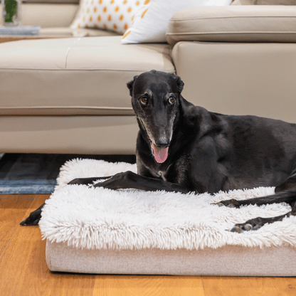 Superior Pet Goods Ortho Calming Dog Mat Water-Resistant Aspen Faux Fur