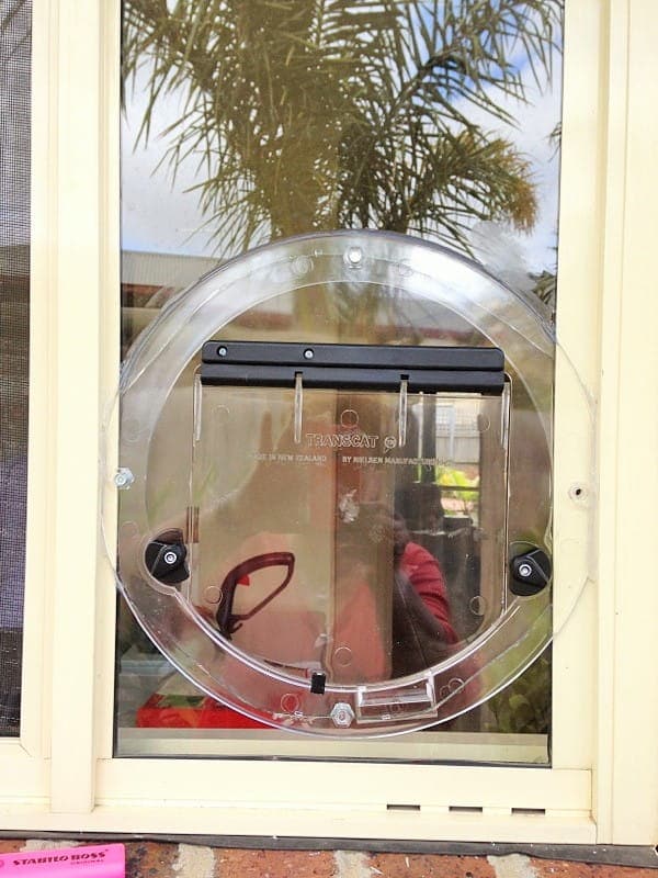Transcat Cat Door - Clear