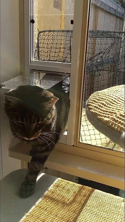 Cat Window Insert