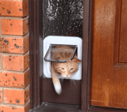 Aussie Pet Doors APD Small Pet Door For Glass, Screen &amp; Timber Door Installation