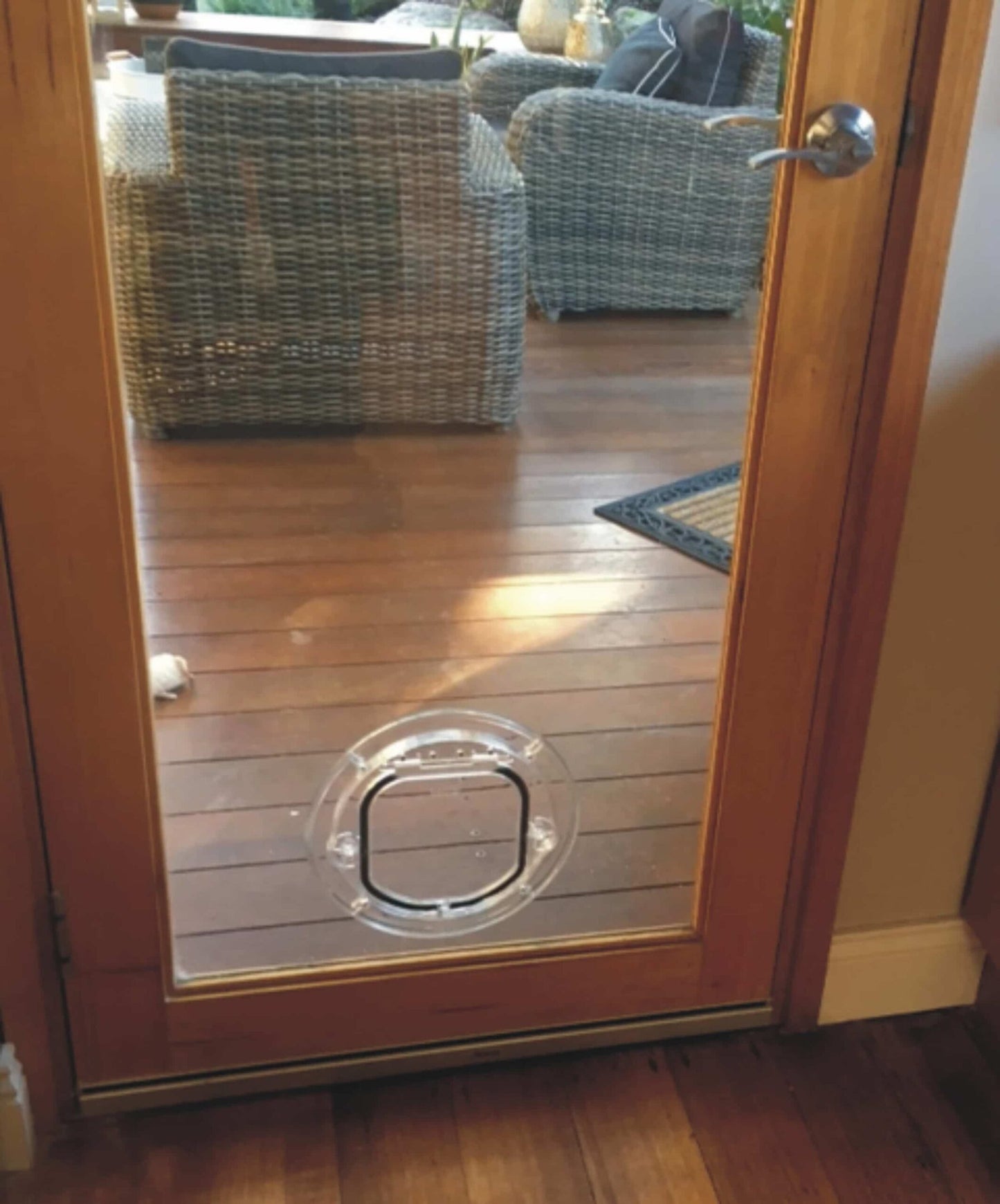 Pet-Tek Catwalk Cat &amp; Small Dog Door