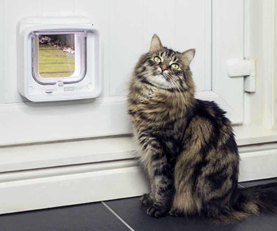 SureFlap Microchip CAT Door Connect