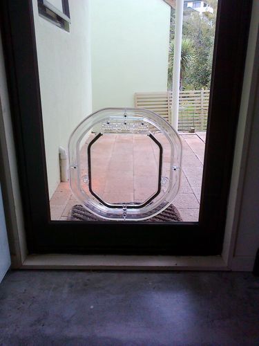 Pet-Tek DogWalk Medium Dog Door Glass Fitting Slimline Clear