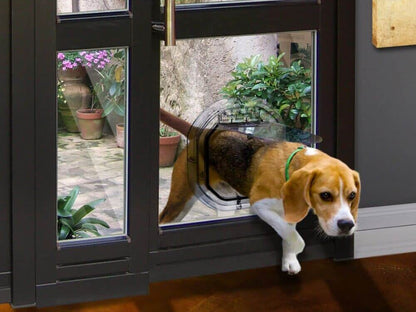 Pet-Tek DogWalk Medium Dog Door Glass Fitting Slimline Clear