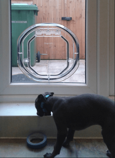 Pet-Tek DogWalk Medium Dog Door Glass Fitting Slimline Clear
