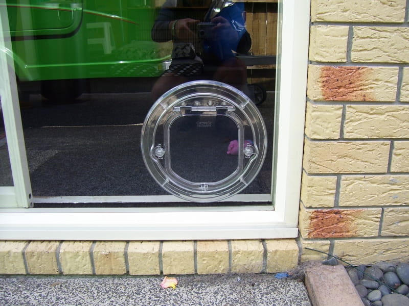 Pet-Tek Catwalk Cat &amp; Small Dog Door