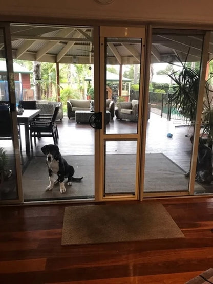 Great Dane Pet Door Insert for a Sliding Door