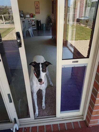 Greyhound Pet Door Insert for a Sliding Door