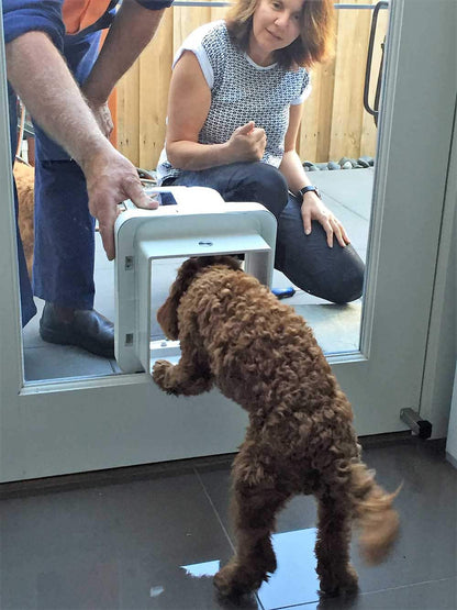 SureFlap Microchip Pet Door Connect + Hub SET -  App Controlled Microchip Technology
