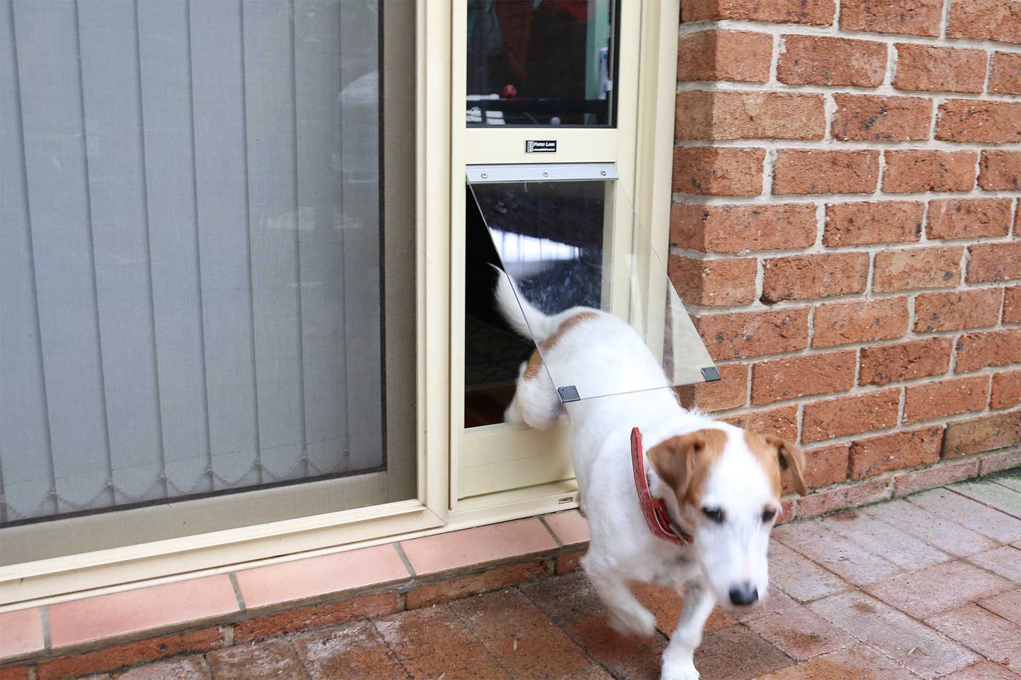 Large Pet Door Insert for a Sliding Door