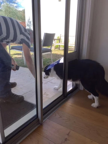Large Pet Door Insert for a Sliding Door