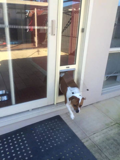 Large Pet Door Insert for a Sliding Door