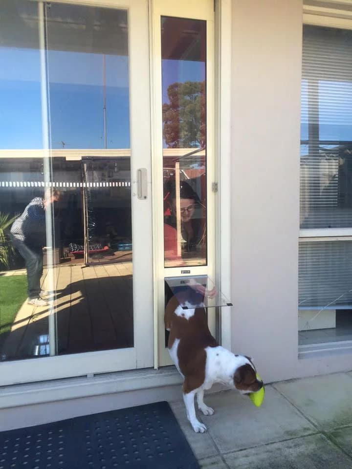 Large Pet Door Insert for a Sliding Door