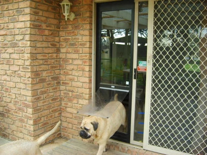 Mastiff Pet Door Insert for a Sliding Door