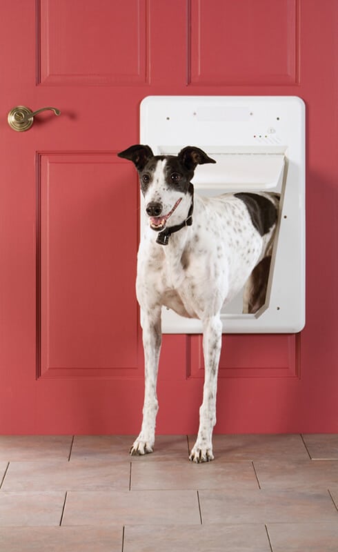 Petsafe Electronic SmartDoor - Suits Multi Pet Homes &amp; Dogs Up to 45kgs