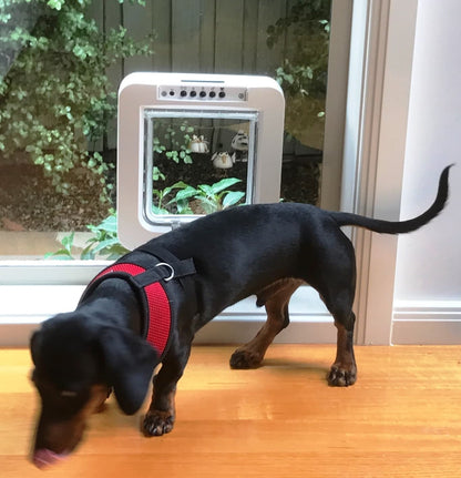 SureFlap Microchip Pet Door Connect + Hub SET -  App Controlled Microchip Technology