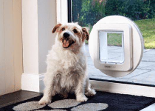 SureFlap Microchip Pet Door Connect + Hub SET -  App Controlled Microchip Technology