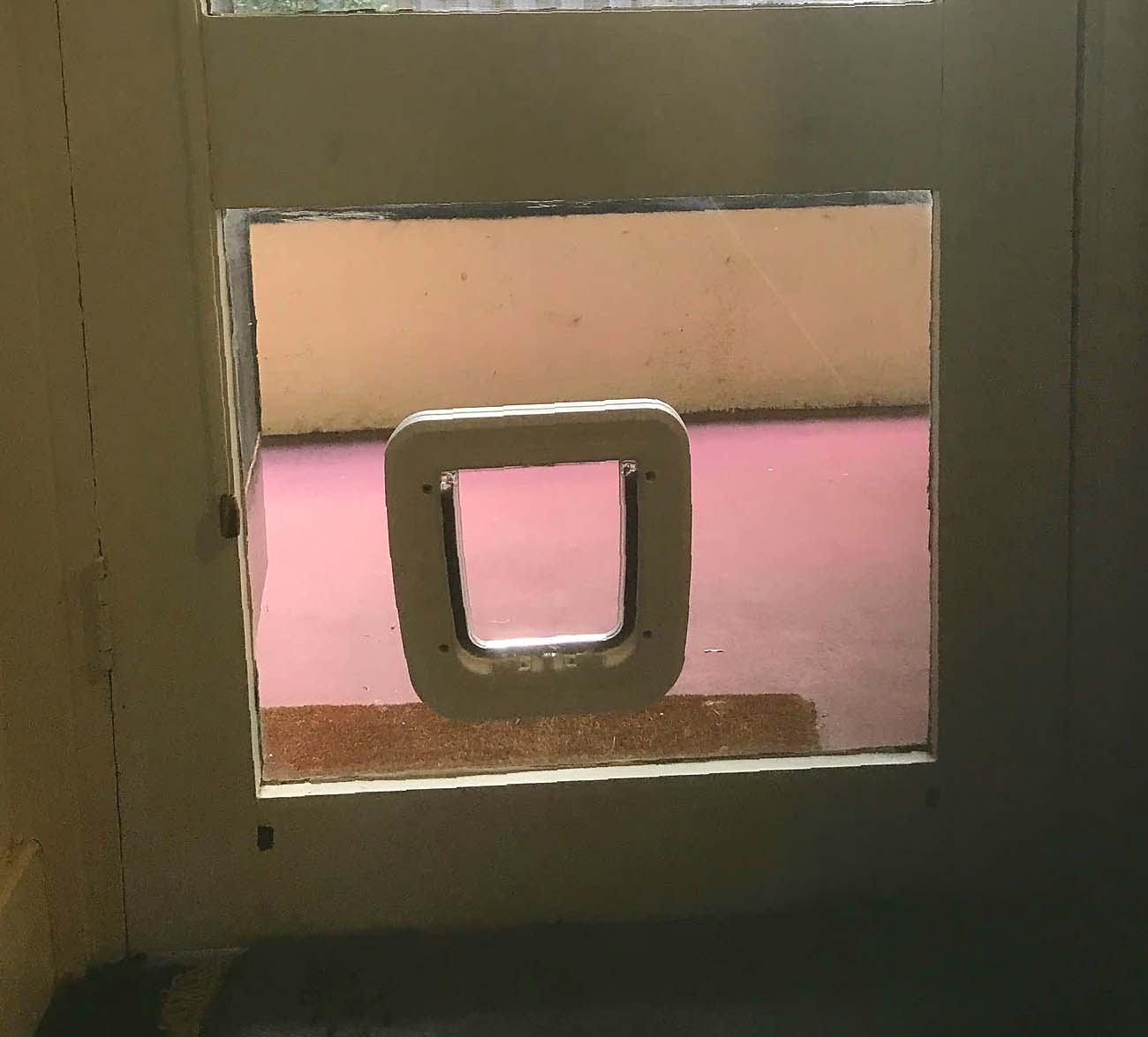Aussie Pet Doors APD Small Pet Door For Glass, Screen &amp; Timber Door Installation