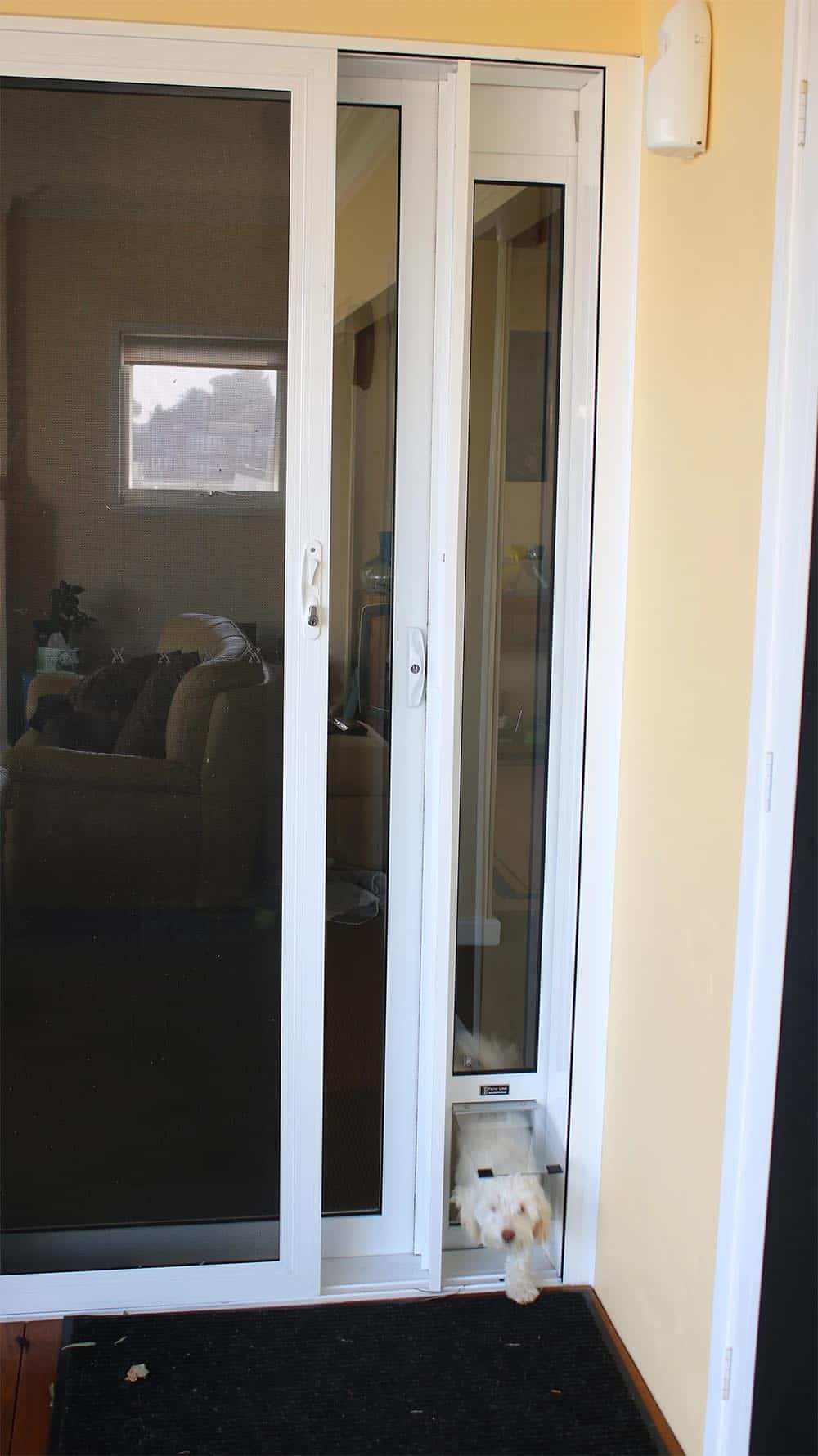 Small Pet Door Insert for a Sliding Door