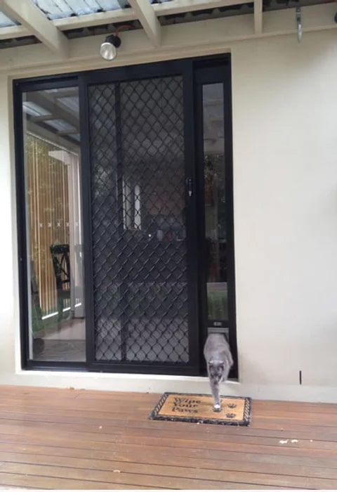 Small Pet Door Insert for a Sliding Door