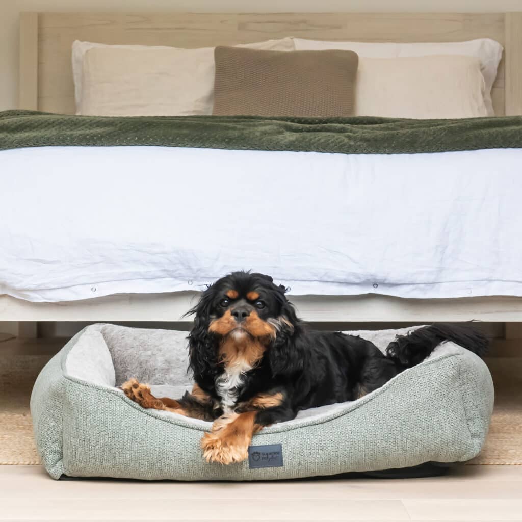 Superior Pet Goods Ortho Dog Haven Sage Dog Bed