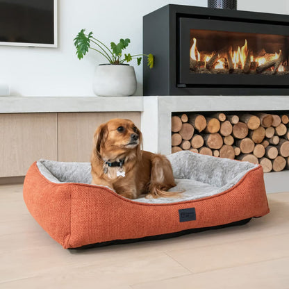 Superior Pet Goods Ortho Dog Haven Sienna Dog Bed
