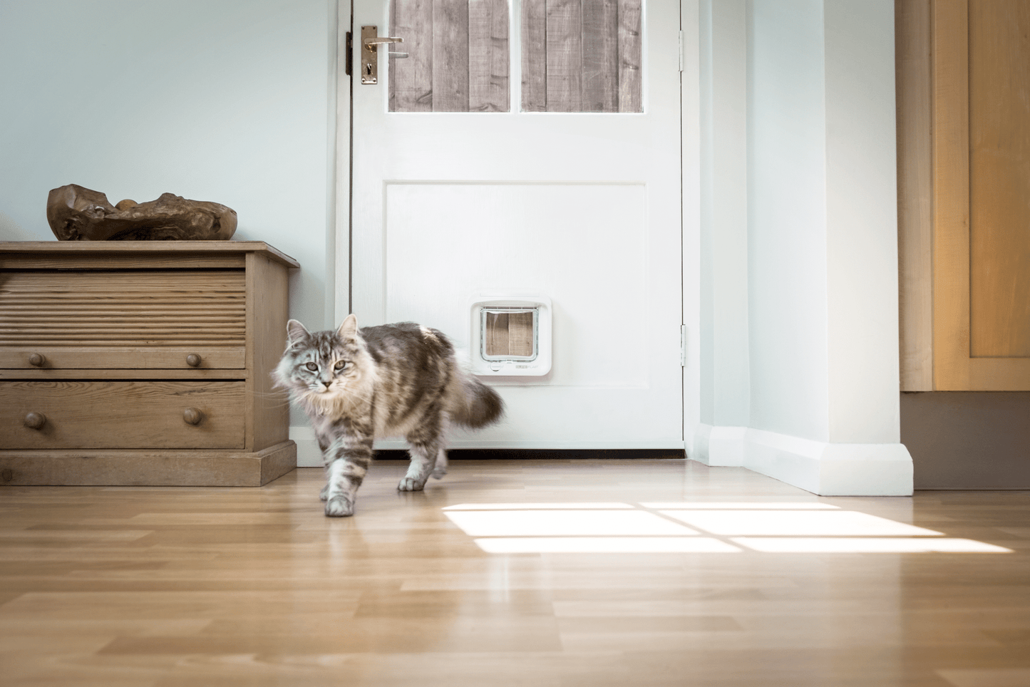cat door installation