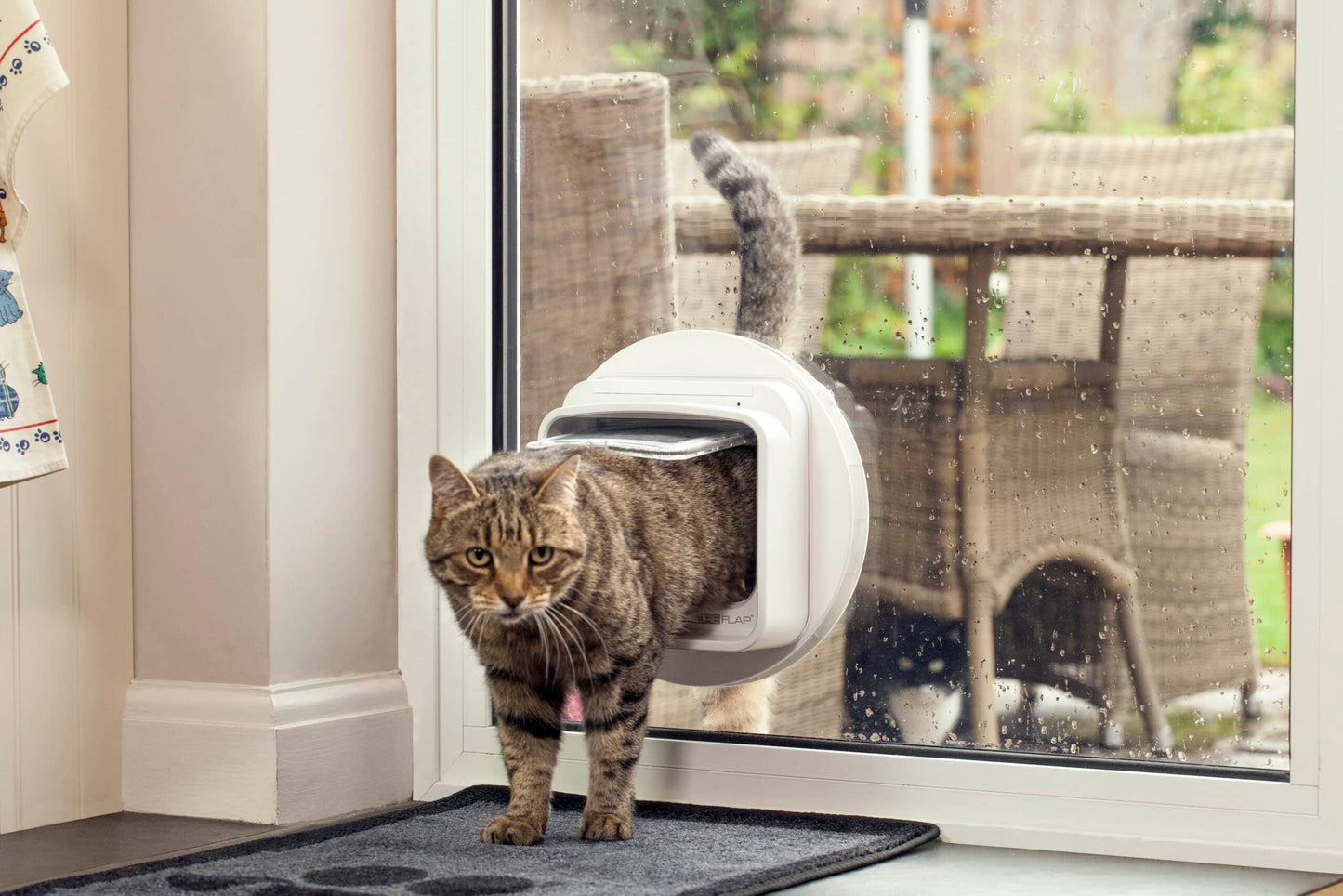 SureFlap Dual Scan Microchip Cat Door - Reads Both Entry &amp; Exit