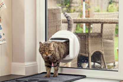 SureFlap Dual Scan Microchip Cat Door - Reads Both Entry &amp; Exit