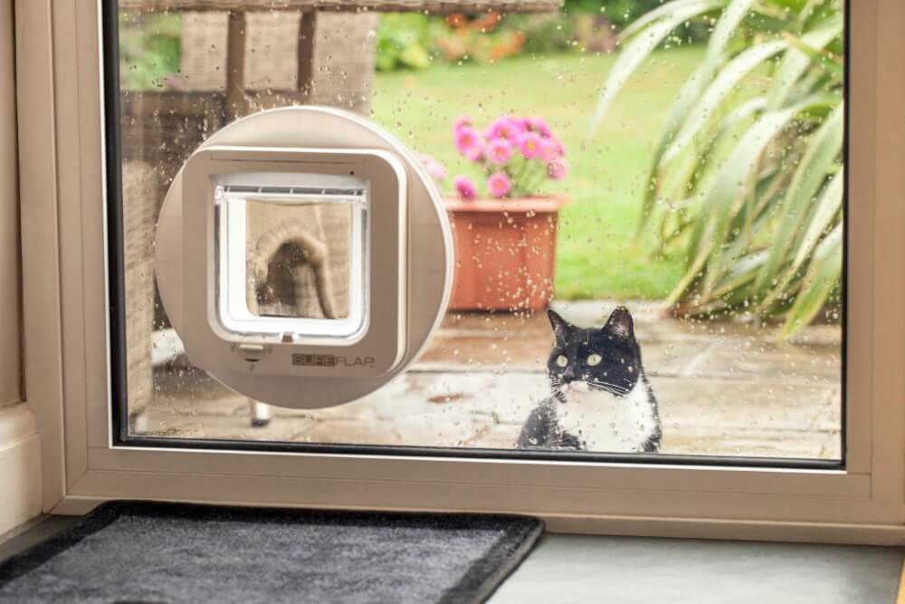 SureFlap Microchip Cat Door &amp; Toy Dog Door