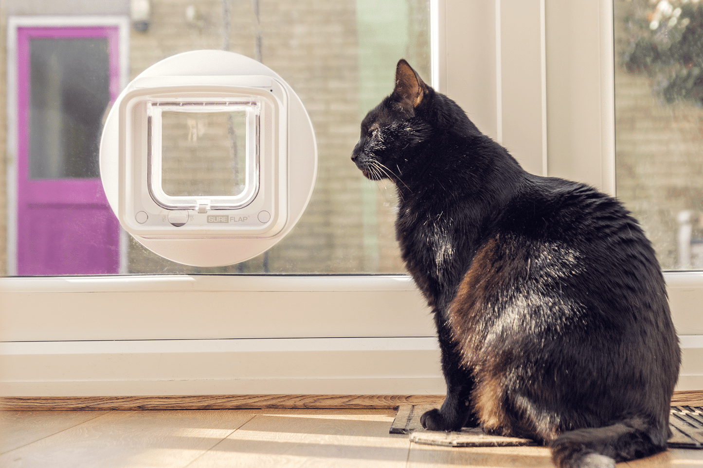 SureFlap Microchip CAT Door Connect