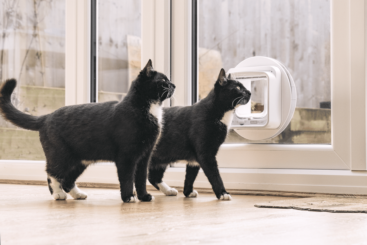 SureFlap Microchip CAT Door Connect