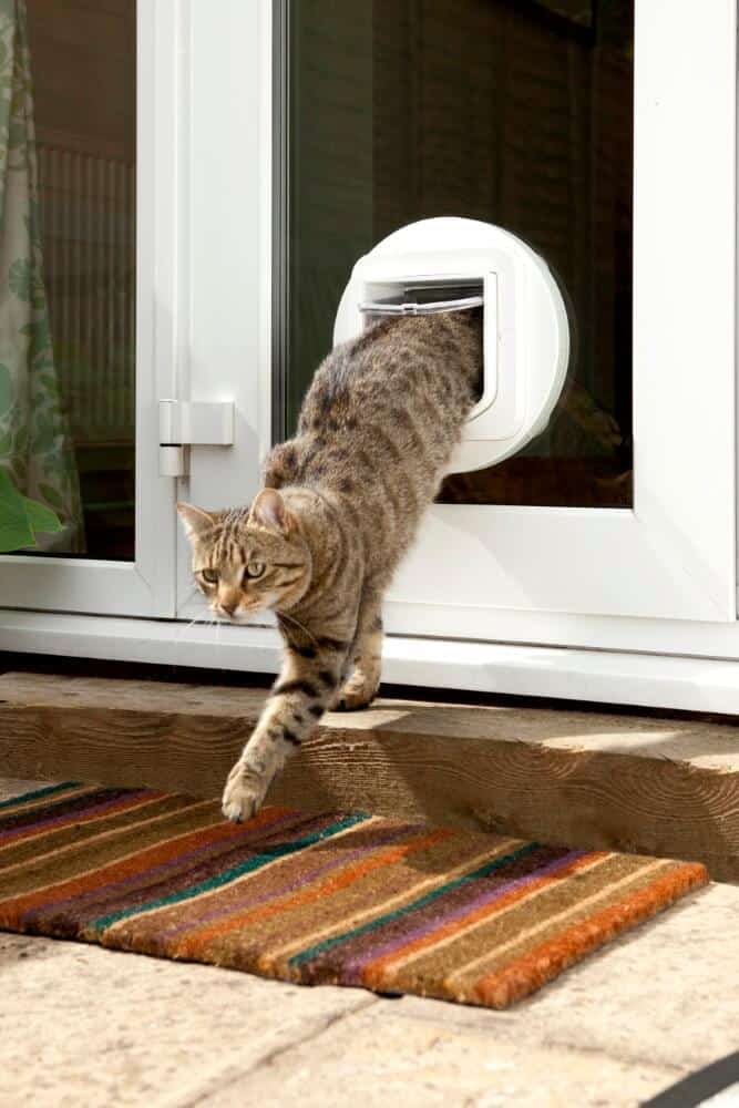 SureFlap Microchip Cat Door &amp; Toy Dog Door