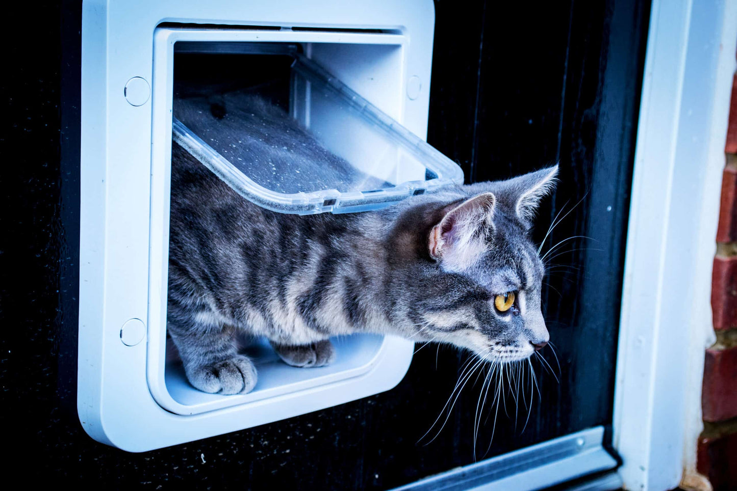 SureFlap Microchip Pet Door For Larger Cats &amp; Small Dogs