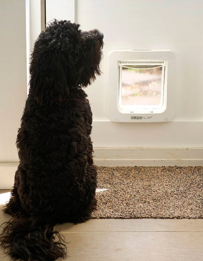 Microchip Dog Door