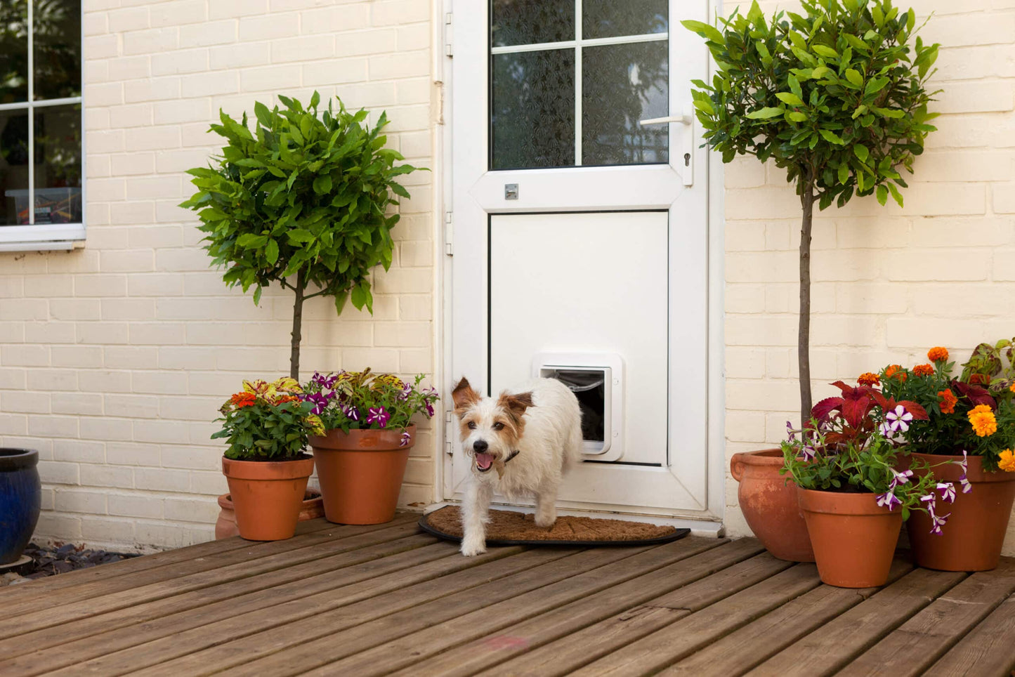 Dog Door