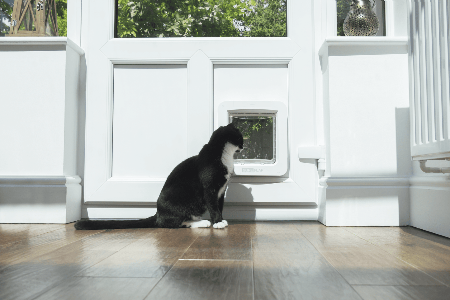 SureFlap Microchip Pet Door CONNECT