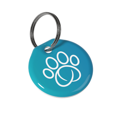 Sureflap Collar Tags
