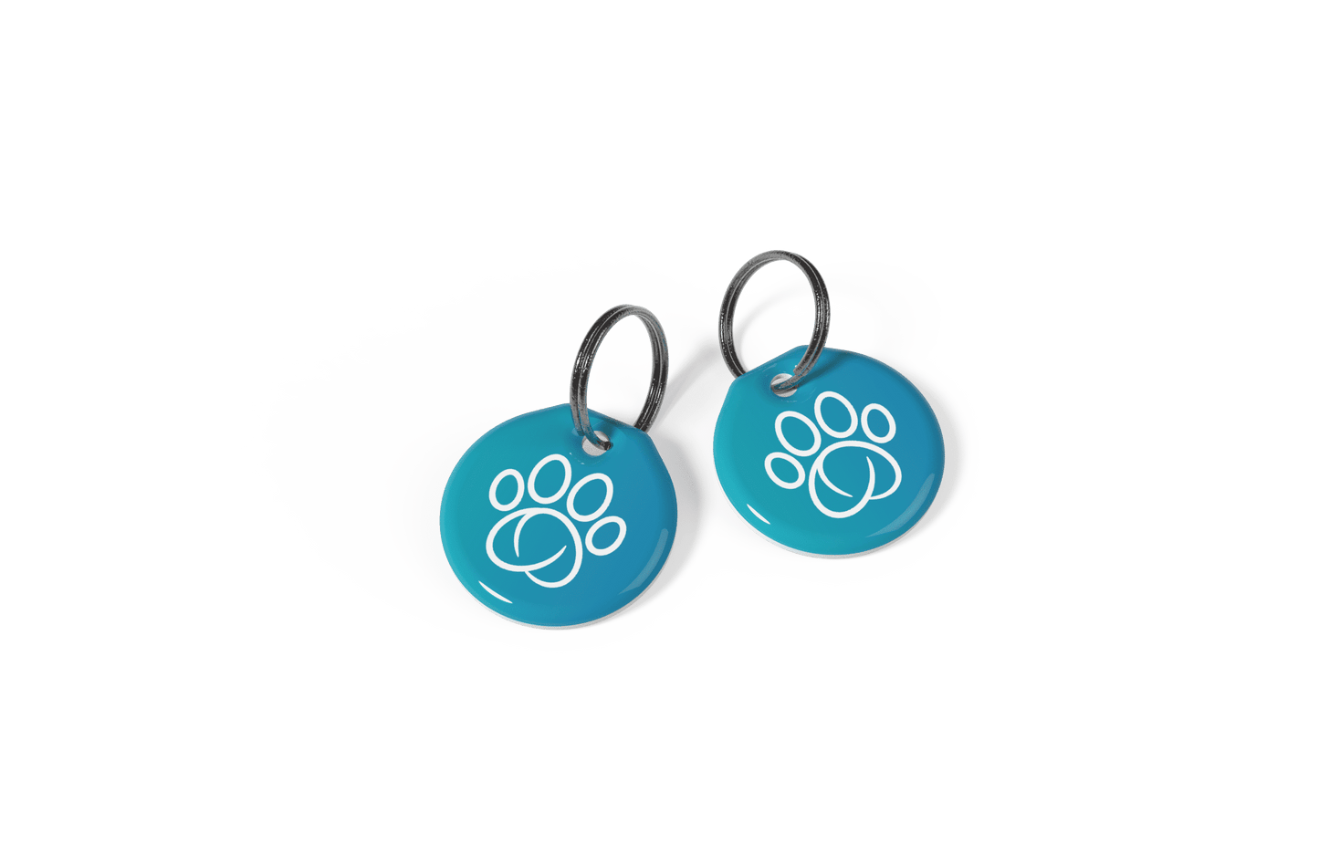 Sureflap Collar Tags