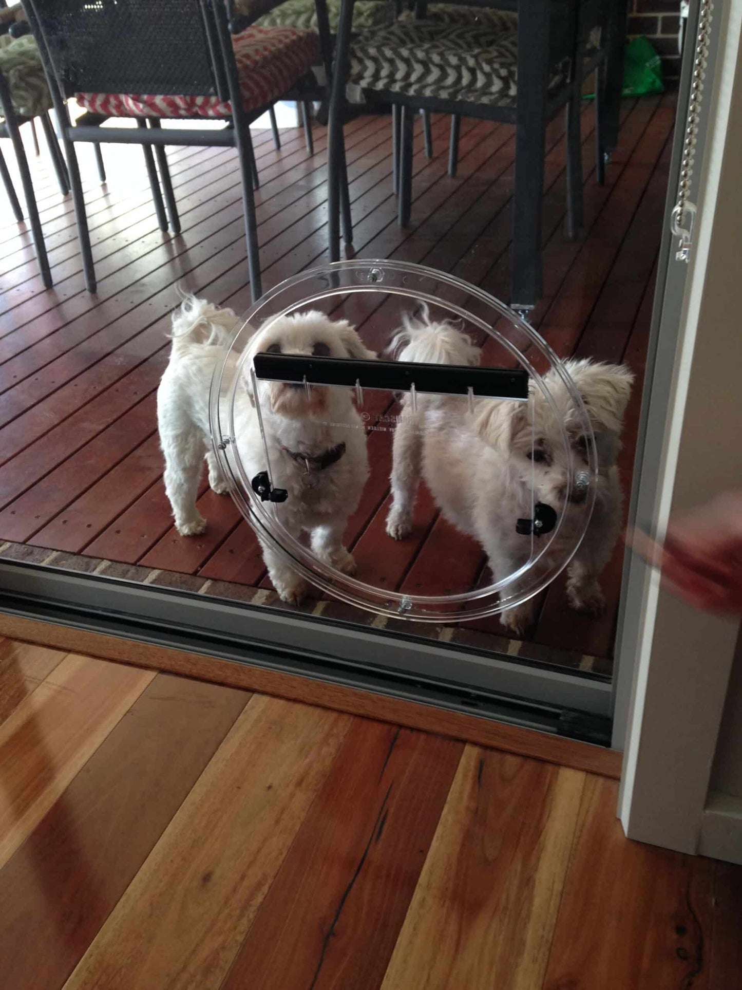 Transcat Small To Medium Dog Door - Clear