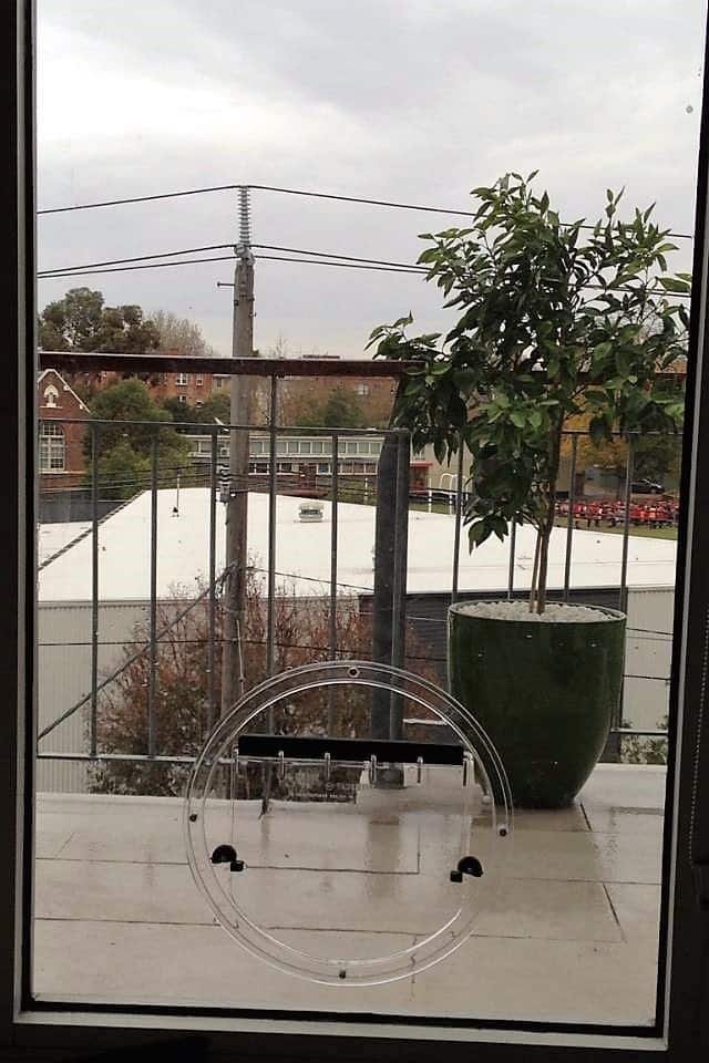 Transcat Cat Door - Clear