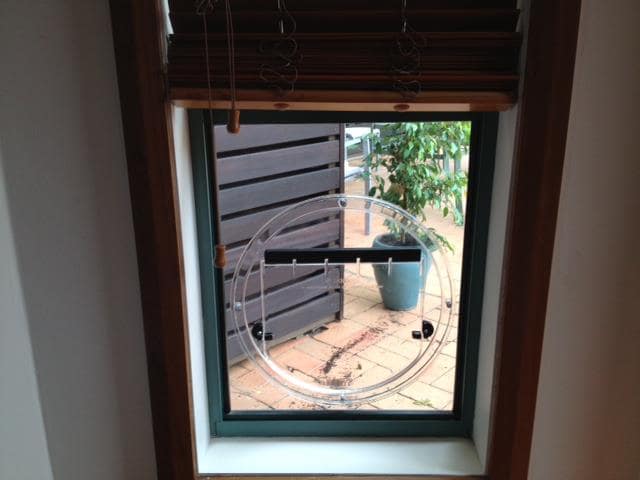 Transcat Cat Door - Clear